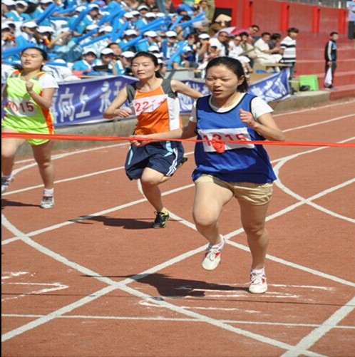 2024澳原料免费资料
