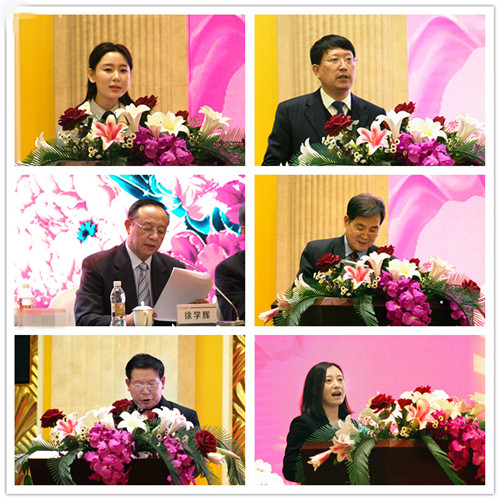 2024澳原料免费资料