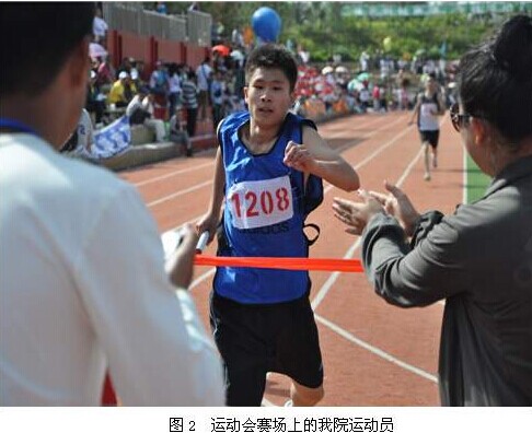 2024澳原料免费资料