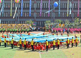 2024澳原料免费资料