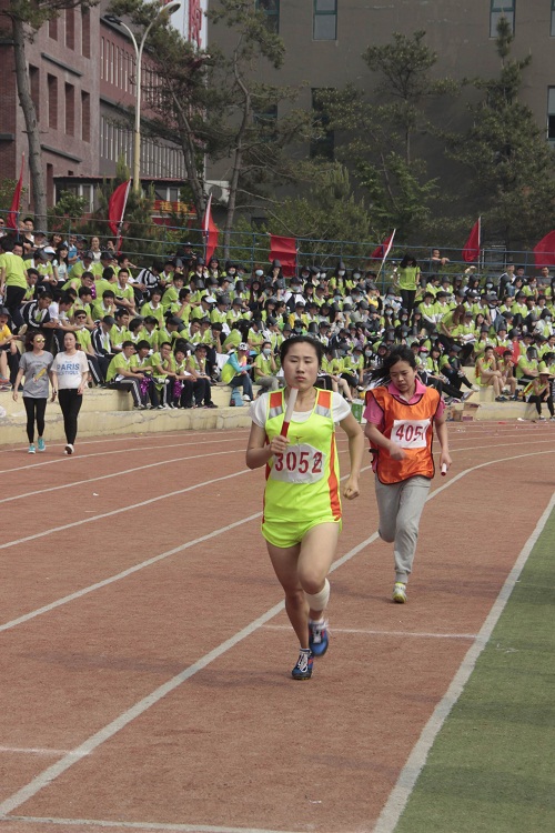 2024澳原料免费资料