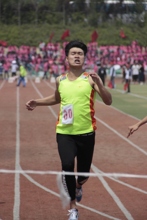 2024澳原料免费资料